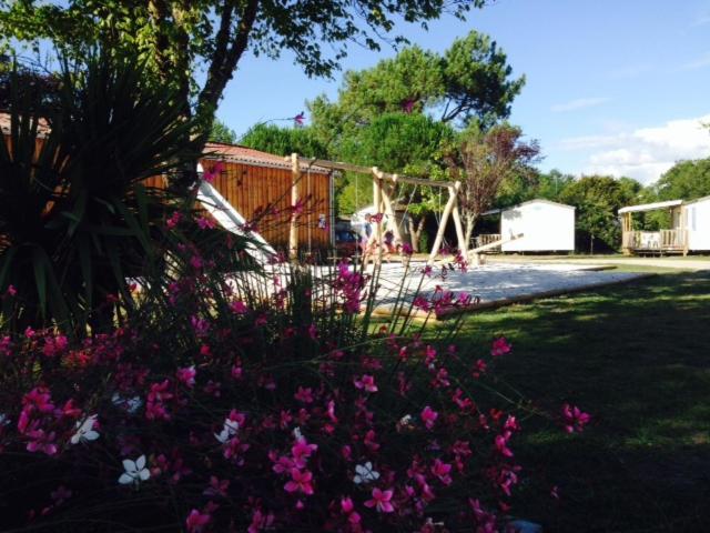 Camping Aux Couleurs Du Ferret Lège-Cap-Ferret Exteriör bild